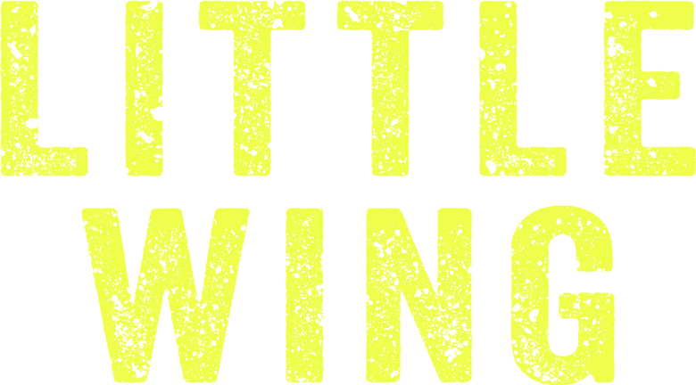 Ver Filme Little Wing Online Gratis