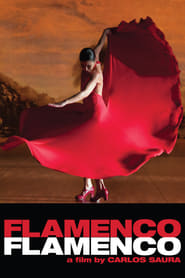 Ver Filme Flamenco Flamenco Online Gratis