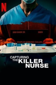 Ver Filme Em Busca do Enfermeiro da Noite Online Gratis