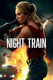 Ver Filme Night Train Online Gratis