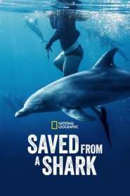 Ver Filme Resgatados dos Tubarões Online Gratis