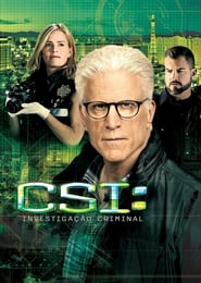 Ver Serie CSI: Investigação Criminal Online Gratis
