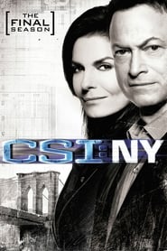 Ver Serie CSI: Nova York Online Gratis